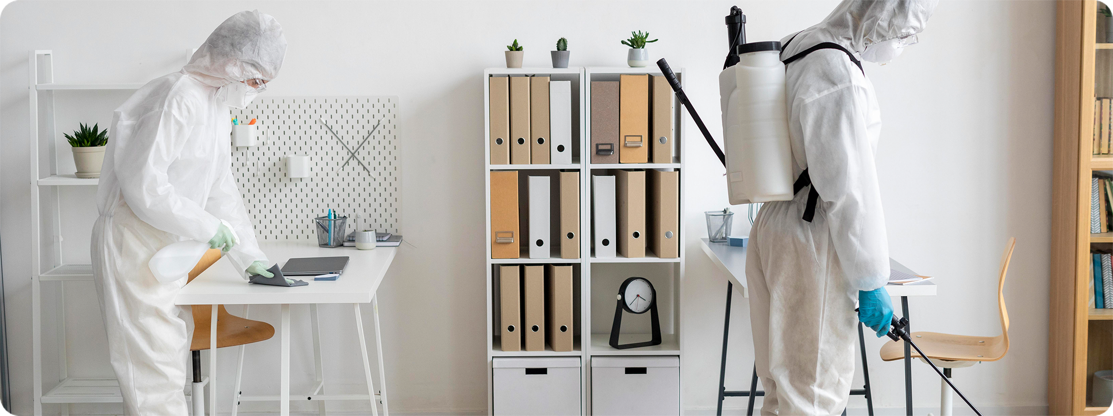 Your No-Nonsense, Down-and-Dirty Seasonal Pest Battle Plan 