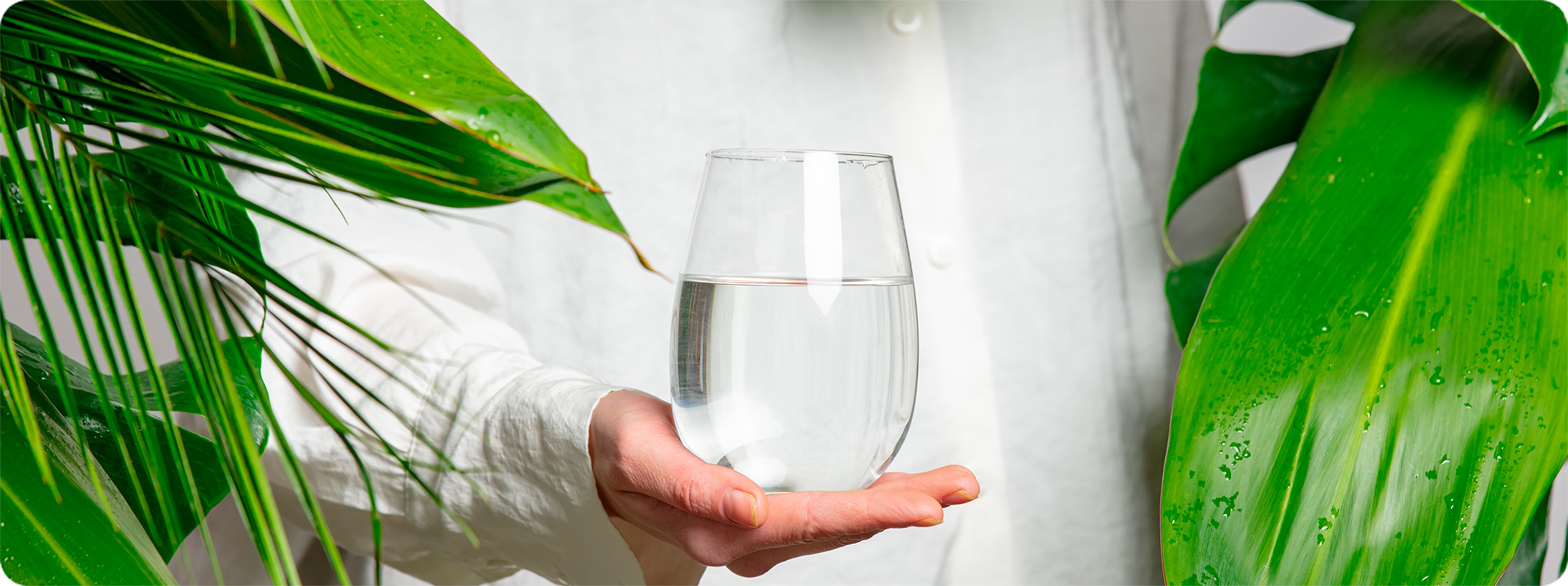 Making Your Water Purifier More Eco-Friendly (Yep, It’s Possible) 