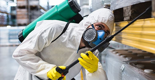 Professionals painting building